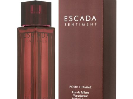 Sentiment Pour Homme woda toaletowa spray on Sale