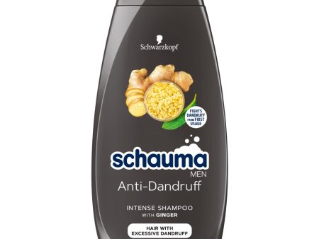 Anti-Dandruff Intensive przeciwłupieżowy szampon do włosów dla mężczyzn 400ml For Cheap