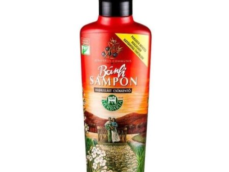 Banfi Sampon oczyszczający szampon do włosów 250ml Online now